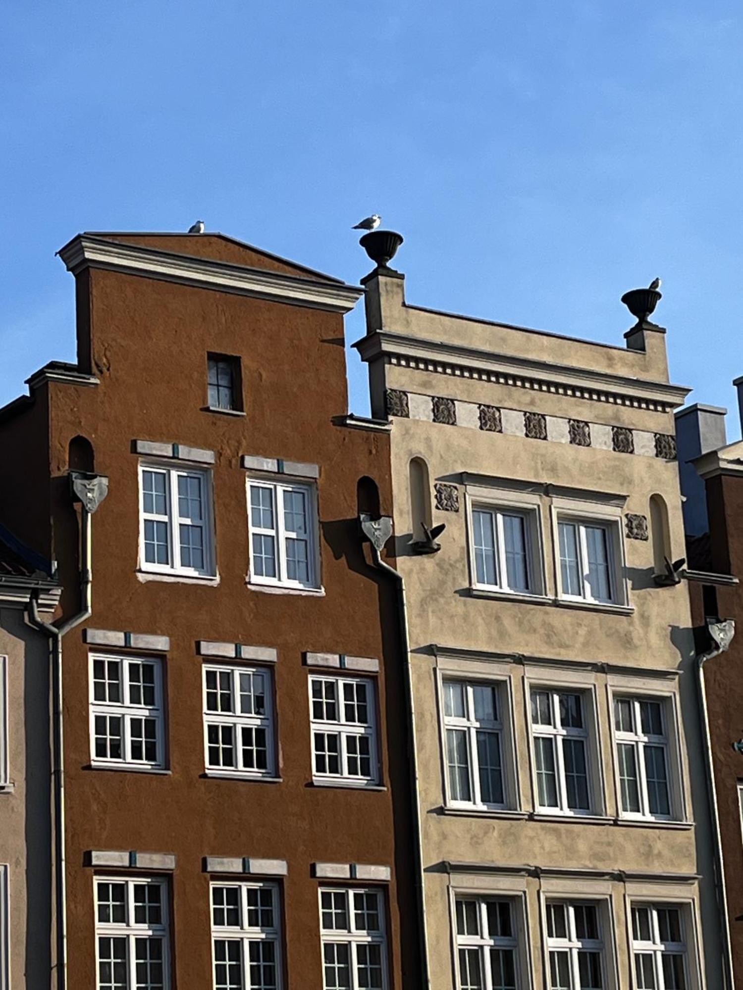 Grand Apartment - Old Town & City Center غدانسك المظهر الخارجي الصورة